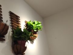 -7017浙菜•建德味(市心北路店)