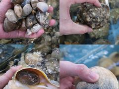 -达叔香味海鲜(海棠68环球美食街店)