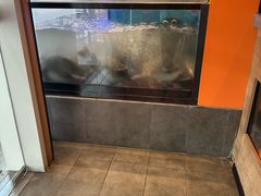 -鱼酷活鱼烤鱼(静安大融城店)