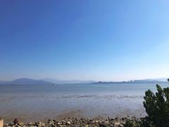 -深圳湾公园(南山区)