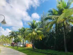 -清水湾旅游度假区