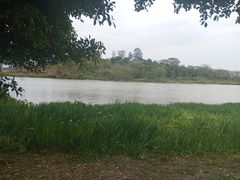-海珠湖公园