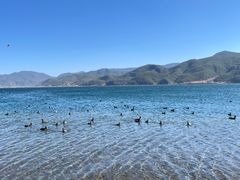 -丽江泸沽湖景区