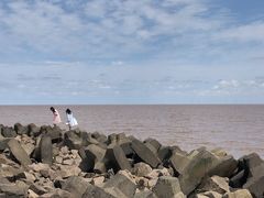 -南汇嘴观海公园