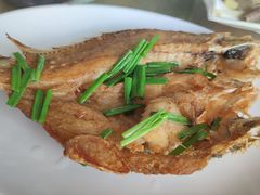 香煎黄花鱼-钟叔烩鸡