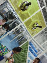 -MELAND(大融城店)