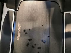 -威尔仕健身·游泳(古北店)