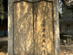 -观潮胜地公园