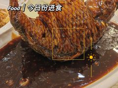 挣蹦鲤鱼-奥华餐厅·老张记(台基厂店)