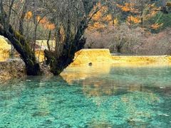 -黄龙山原始森林景区