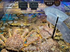 -徐记海鲜(大雁塔|金都店)