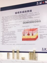 点击看大图 -玫莉蔻皮肤管理中心