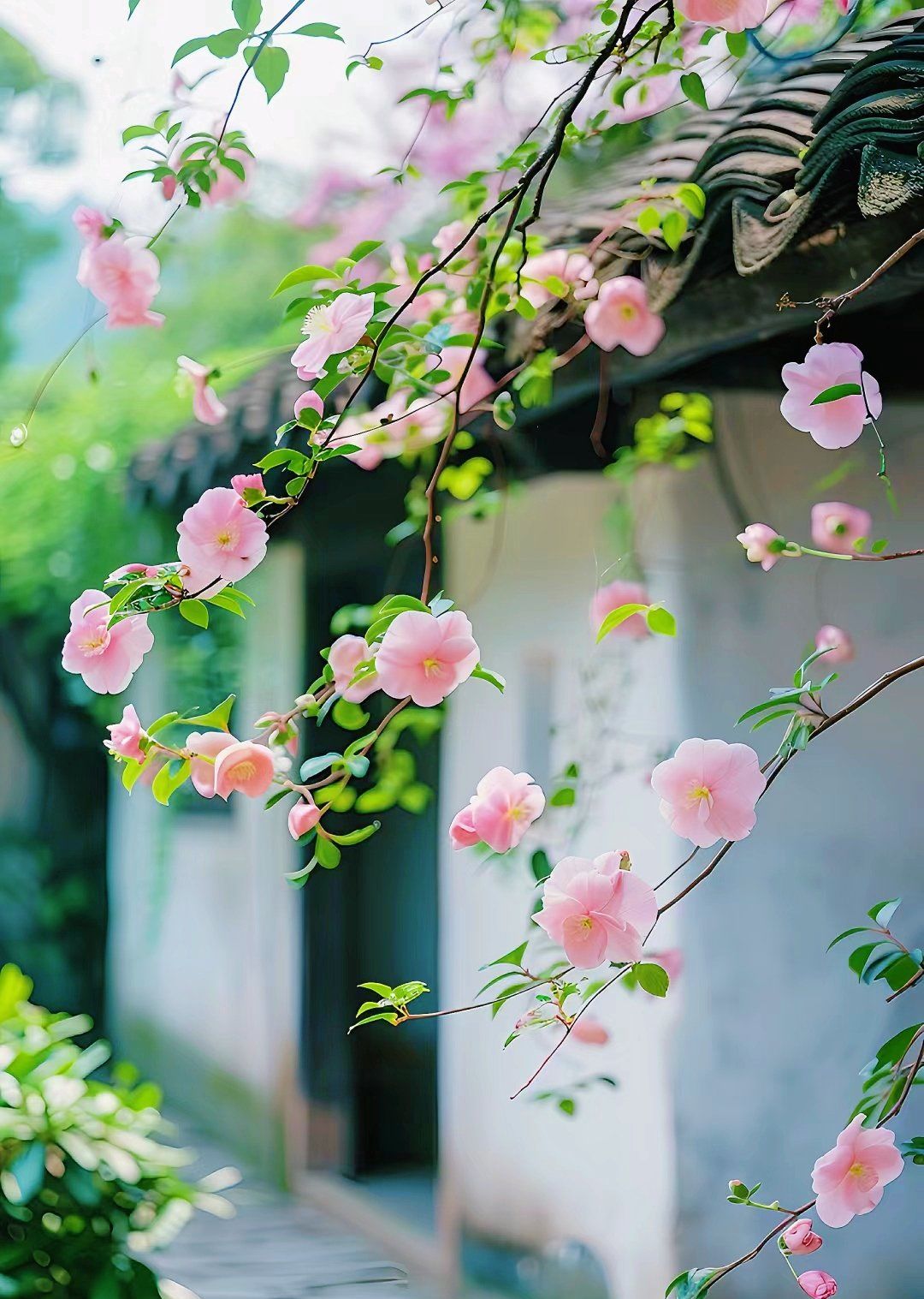 满园春色关不住,一枝红杏出墙来