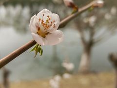 -坝河休闲公园