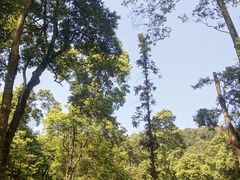 -凤栖山