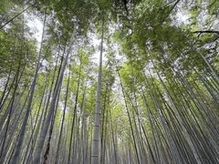 -同里国家湿地公园