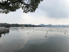 -杭州君悦酒店