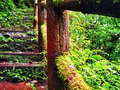 -龙苍沟森林公园