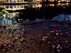 -荔湾湖公园