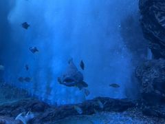 -多彩贵州城极地海洋世界