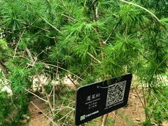 -石家庄市植物园