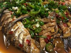 -全乐鱼馆·淳牌有机鱼直营店