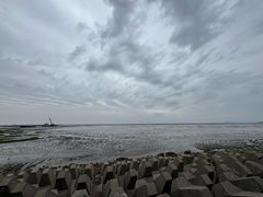 -碧海金沙