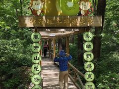 -大岭沟猕猴桃谷风景区