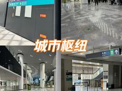-望京西(地铁站)