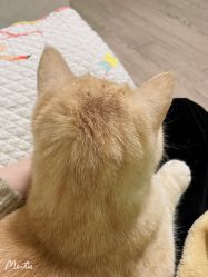 -齐伽生活馆·瑜伽·普拉提·阿育吠陀