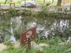 -成都市活水公园