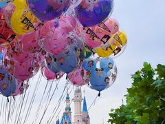 -上海迪士尼度假区