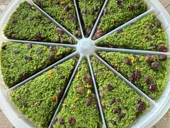 -蟹天蟹地农家菜·阳澄湖大闸蟹(浅水湾店)