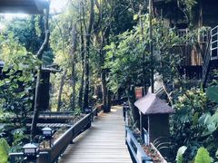 -天门沟九州驿站树上汤泉