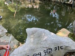 -绮园景区