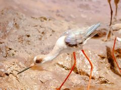 -中国湿地博物馆