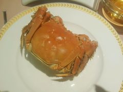 -王宝和酒家(黄浦店)