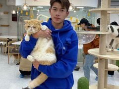 -喵园·猫主题咖啡厅·撸猫·猫咖(国贸店)