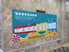 -飞鲨游泳培训学校