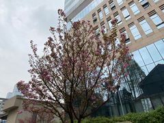 -成都市第二人民医院(庆云院区)