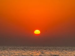 -东北菜冰城一家人