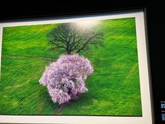 -罗红摄影艺术馆