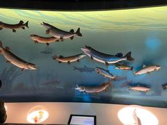 -陕西自然博物馆