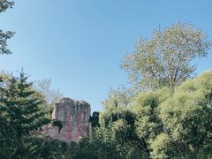 -秦皇岛野生动物园