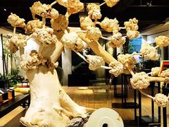 -德迹斋禅意文化茶馆·茶空间·商务洽谈•宴席(桃园店)