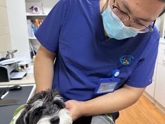 -北京观赏动物医院·24小时大型综合·猫专科·异宠专科