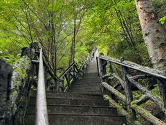 -汤旺河林海奇石景区