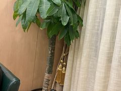 -金时代顺风大酒店(临港百联店)
