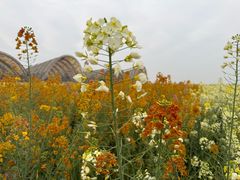 -中国天府农业博览园