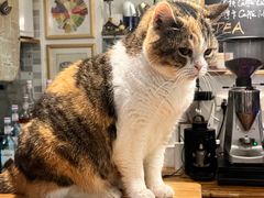 -隅cafe(傅厚岗店)